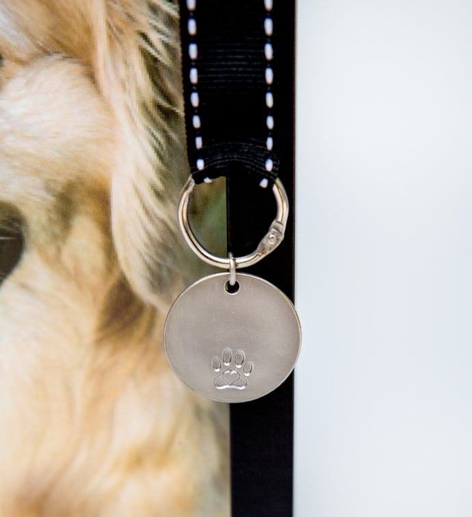Pawprints Left By You - Loss Of Dog Or Cat Gift Set