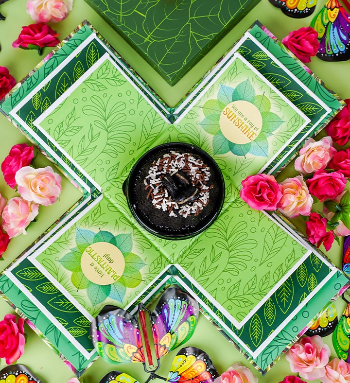 Plant Lovers Explosion Cake Gift Box