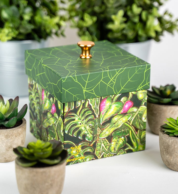 Plant Lovers Explosion Cake Gift Box