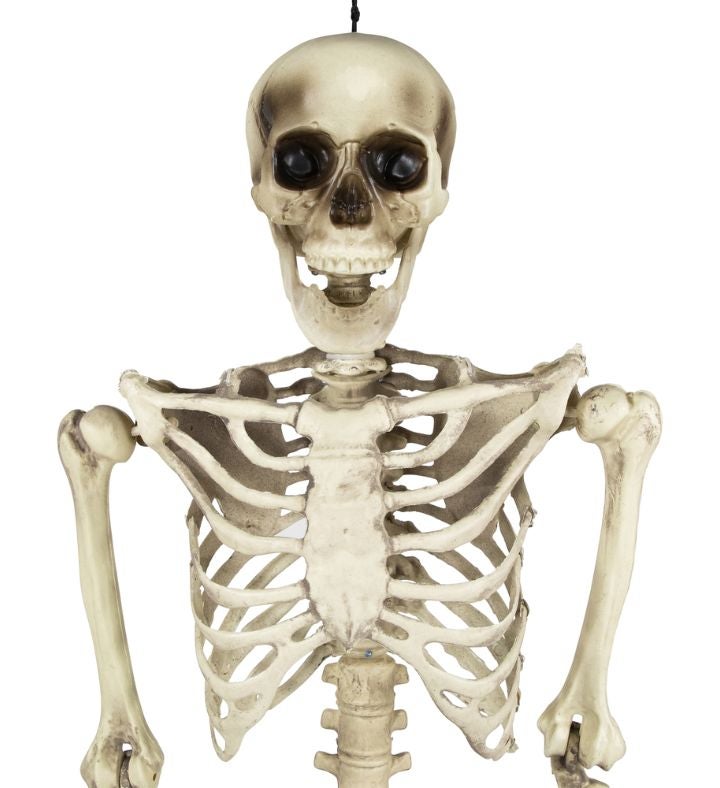 Life Size Skeleton Hanging Halloween Decoration