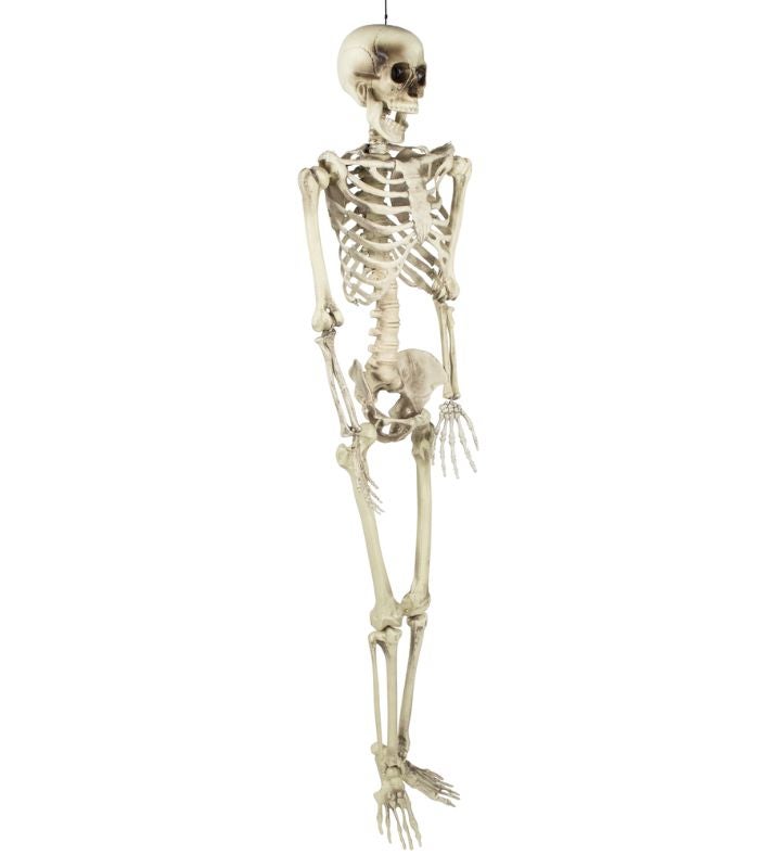 Life Size Skeleton Hanging Halloween Decoration