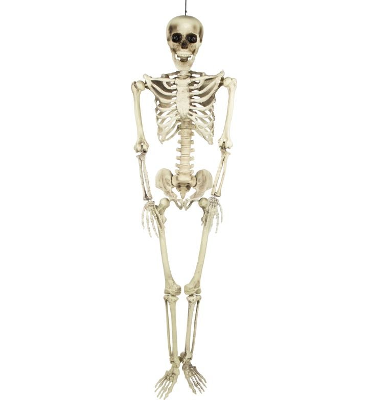 Life Size Skeleton Hanging Halloween Decoration