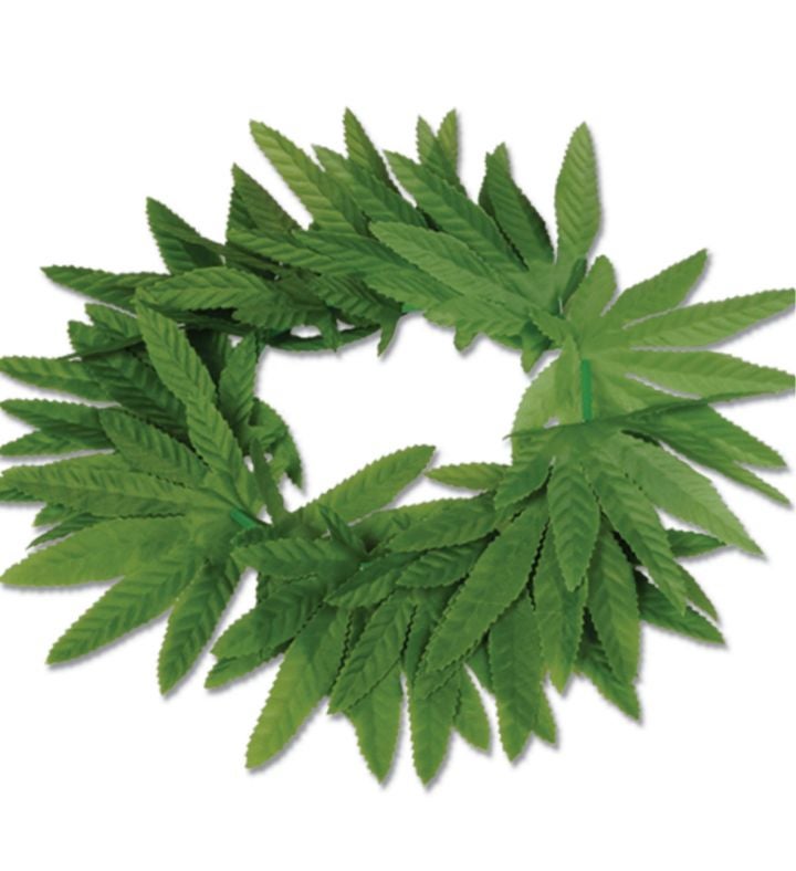 12 Pack Green Fern Leaf Tropical Luau Party Headbands Costume 20"