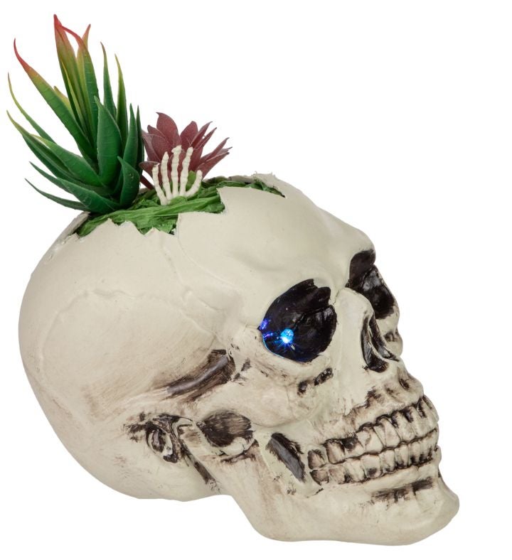 Led Lighted Succulent Halloween Skull Planter - 8.75"