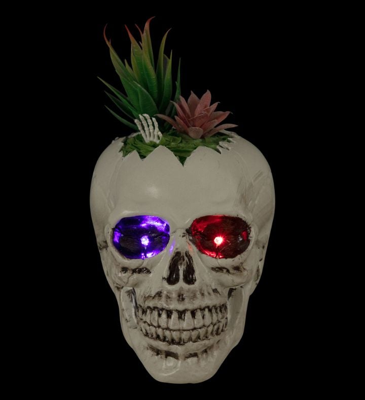 Led Lighted Succulent Halloween Skull Planter - 8.75"