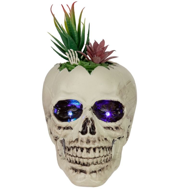 Led Lighted Succulent Halloween Skull Planter   8.75"