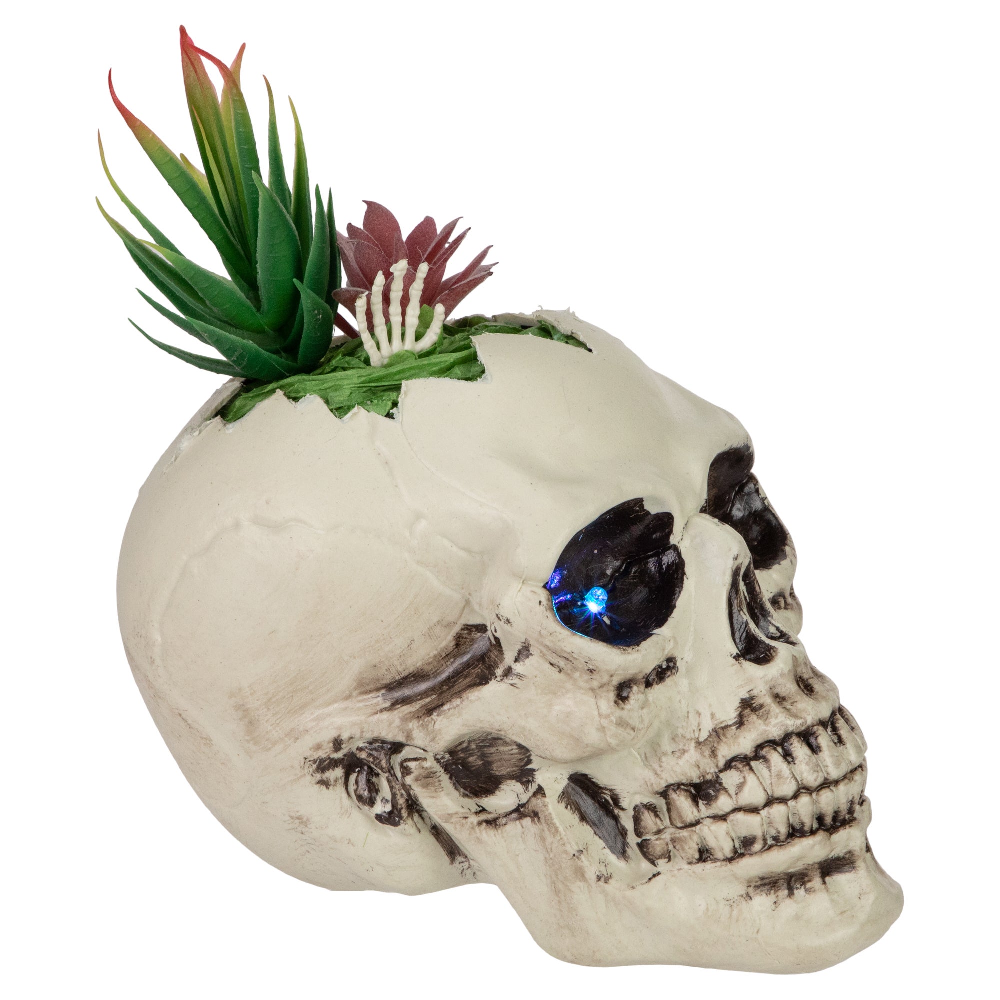 Led Lighted Succulent Halloween Skull Planter - 8.75"