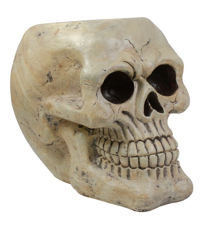 Halloween Skull Decoration   11"   Ivory And Black