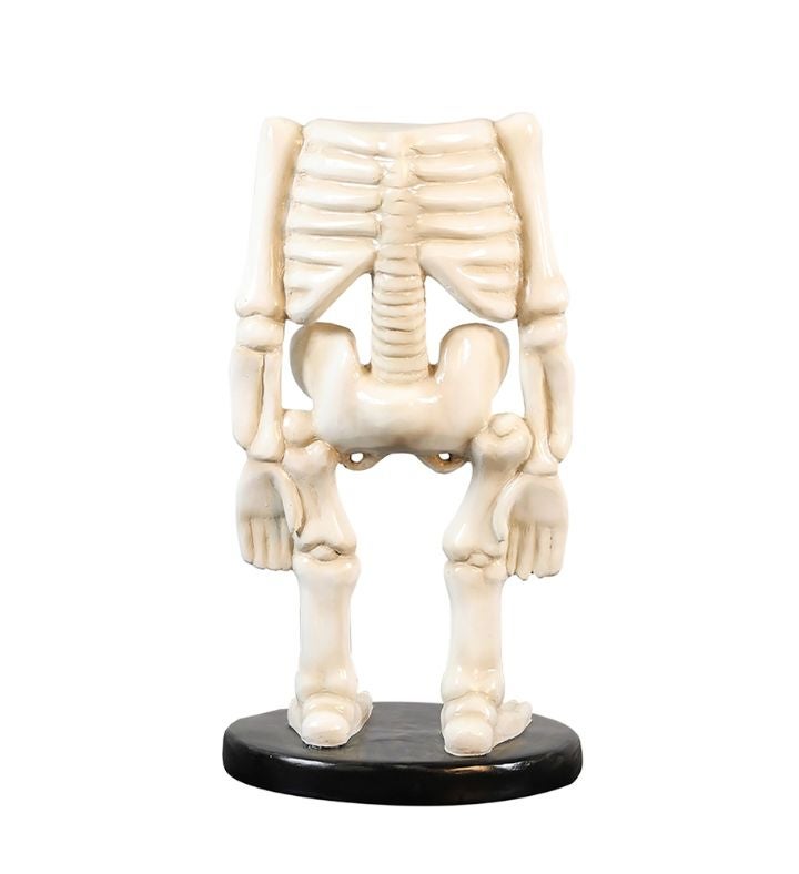 Skeleton Outdoor Halloween Decoration With Stand   28"