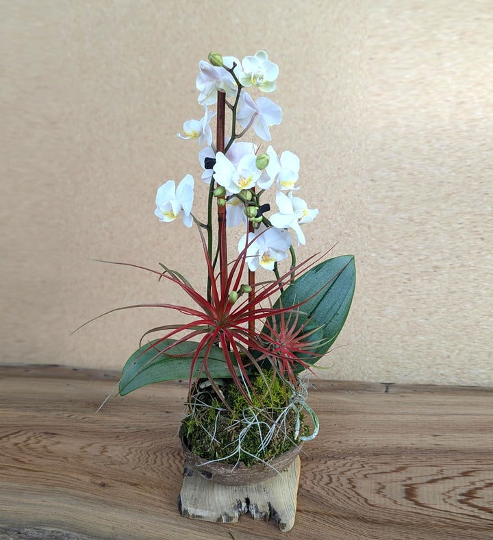 White And Red Orchid Arrangement