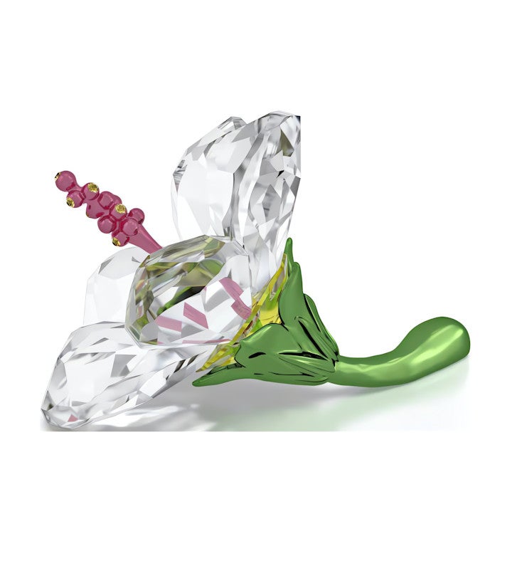 Florere Hibiscus, Small