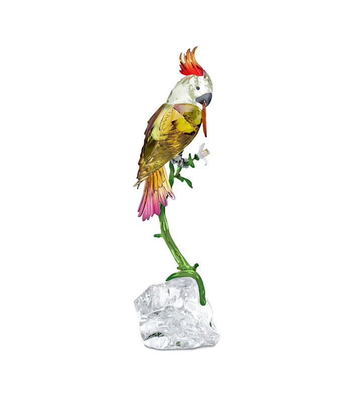 Idyllia Cockatoo
