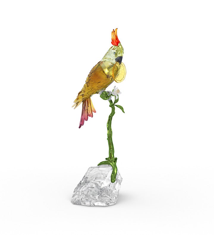 Idyllia Cockatoo