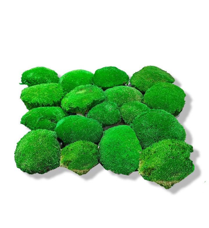Pole Moss