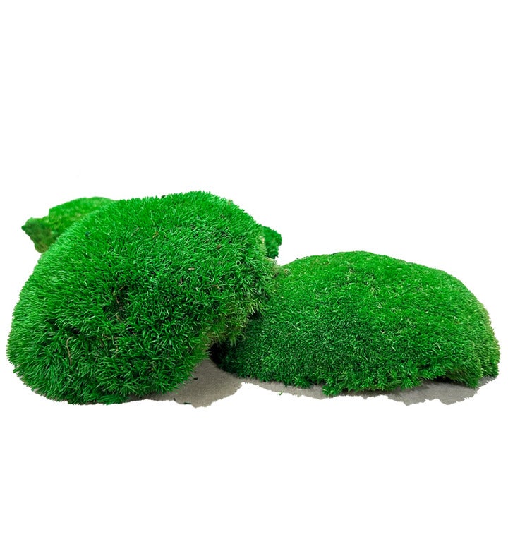 Pole Moss