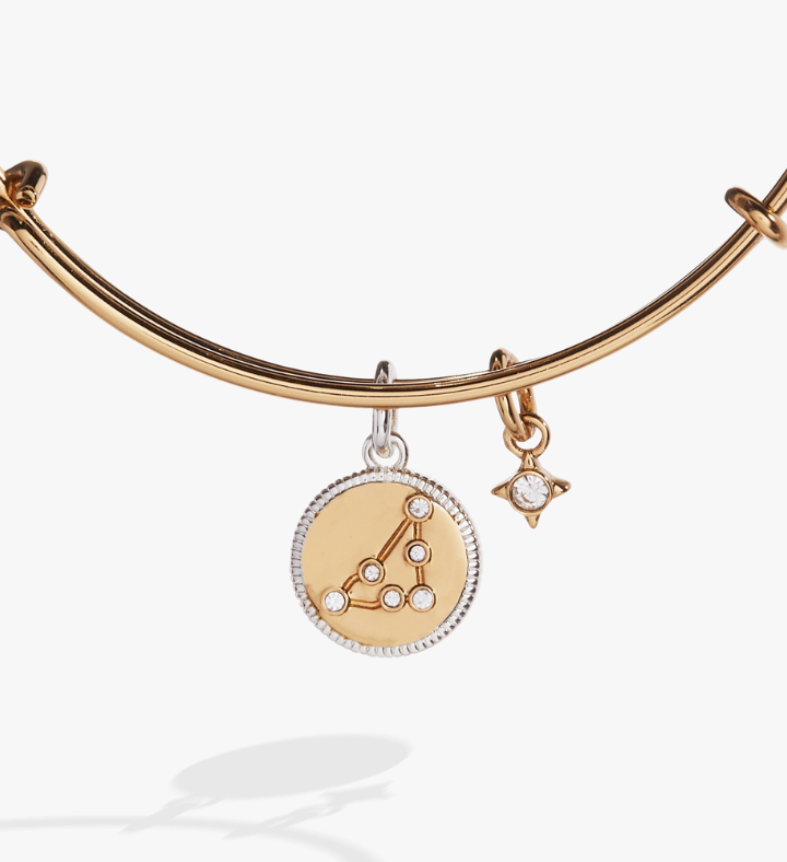 Zodiac Bangle Bracelet