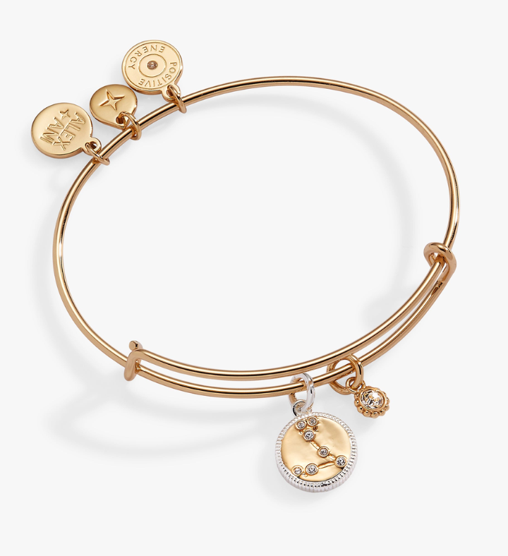 Zodiac Bangle Bracelet