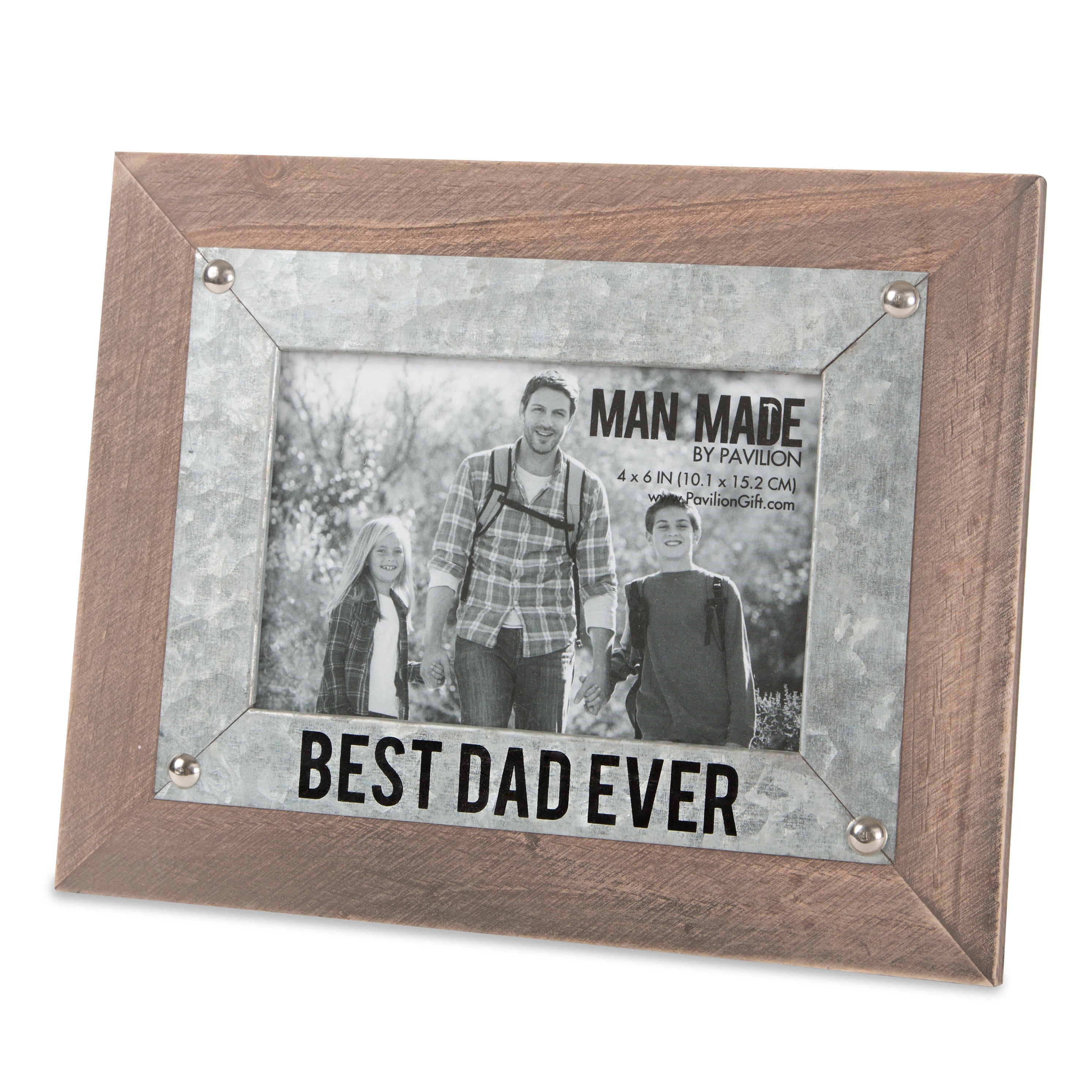 "Best Dad Ever" Frame