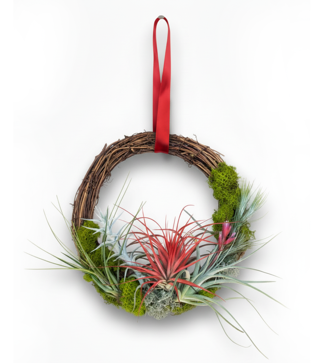 Modern Living Art: 12" Air Plant Wreath With Ribbon