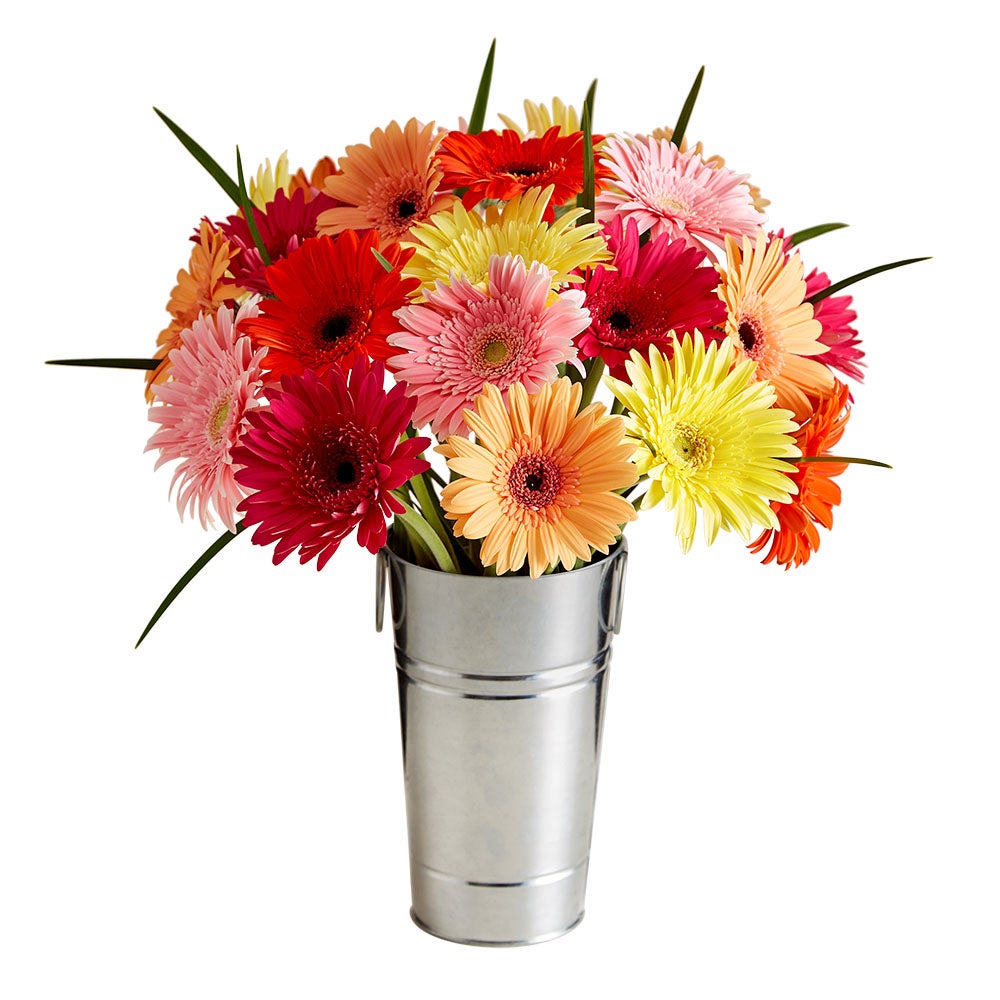 Happy Gerbera Daisies