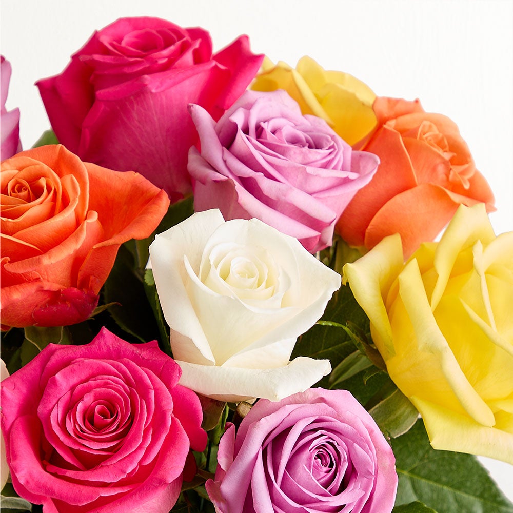 Assorted Roses