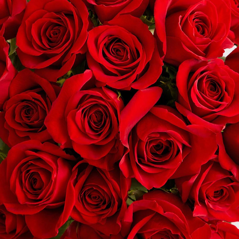 DIY Red Rose Flower Box