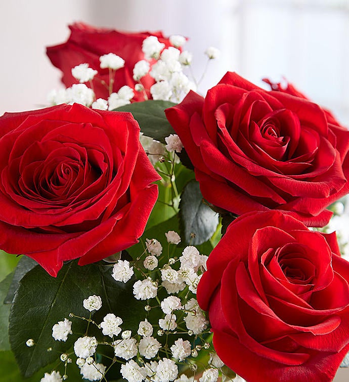 Two Dozen Red Roses with Red Vase by 1-800 Flowers