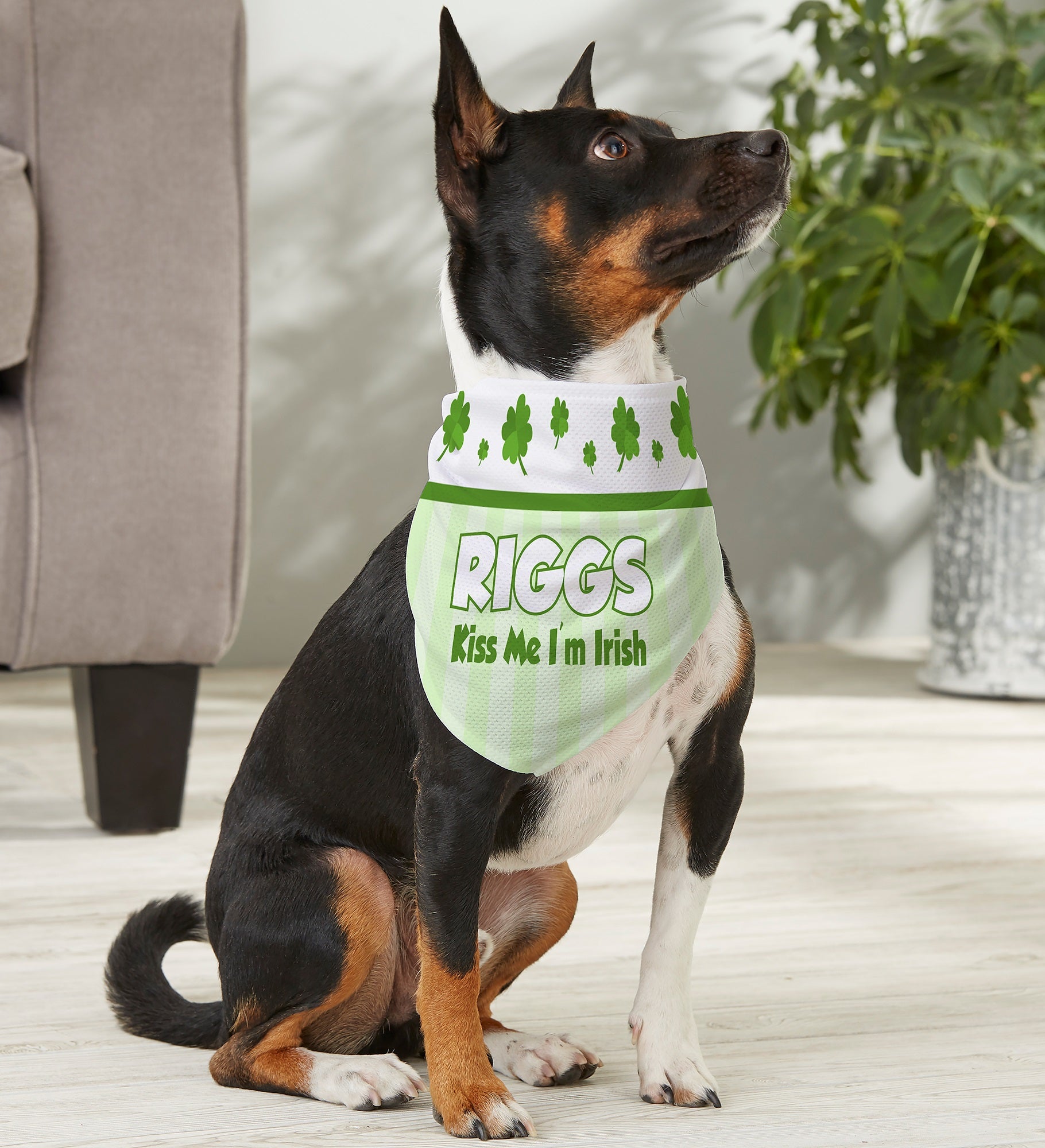 Lucky Dog Personalized Bandana