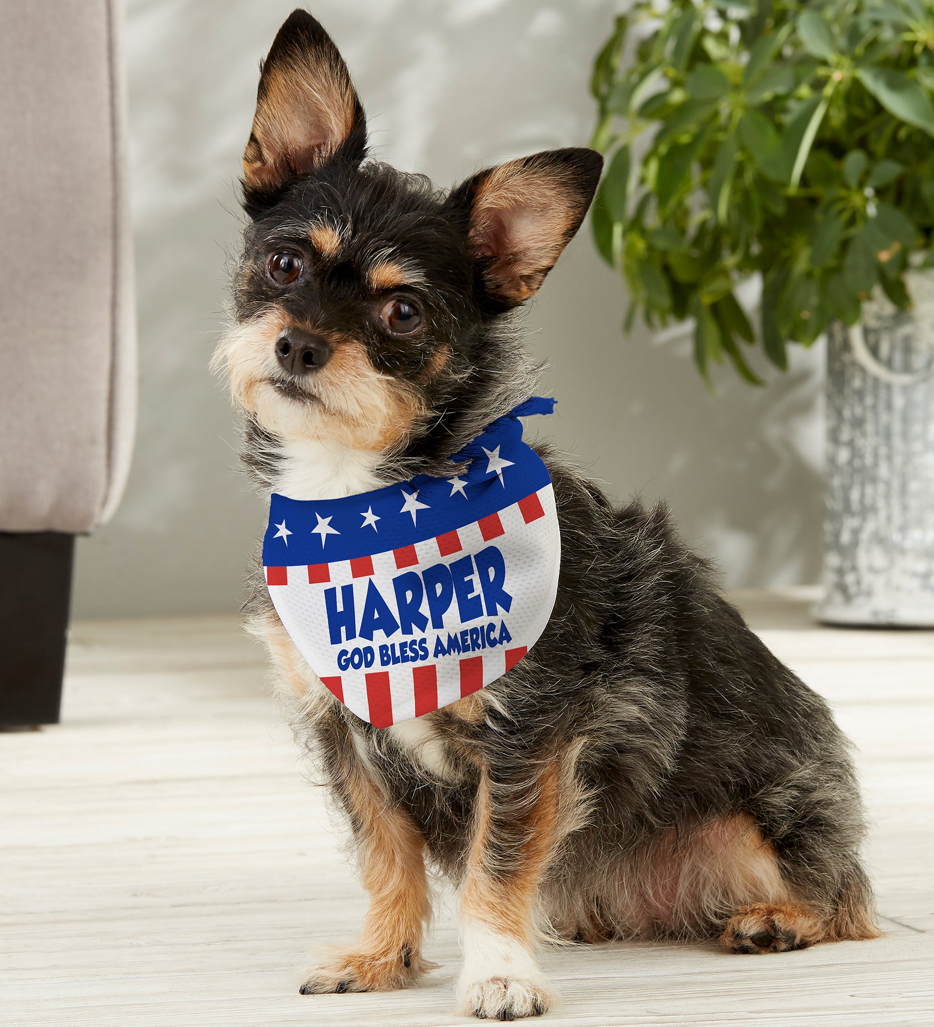 All American Personalized Dog Bandana