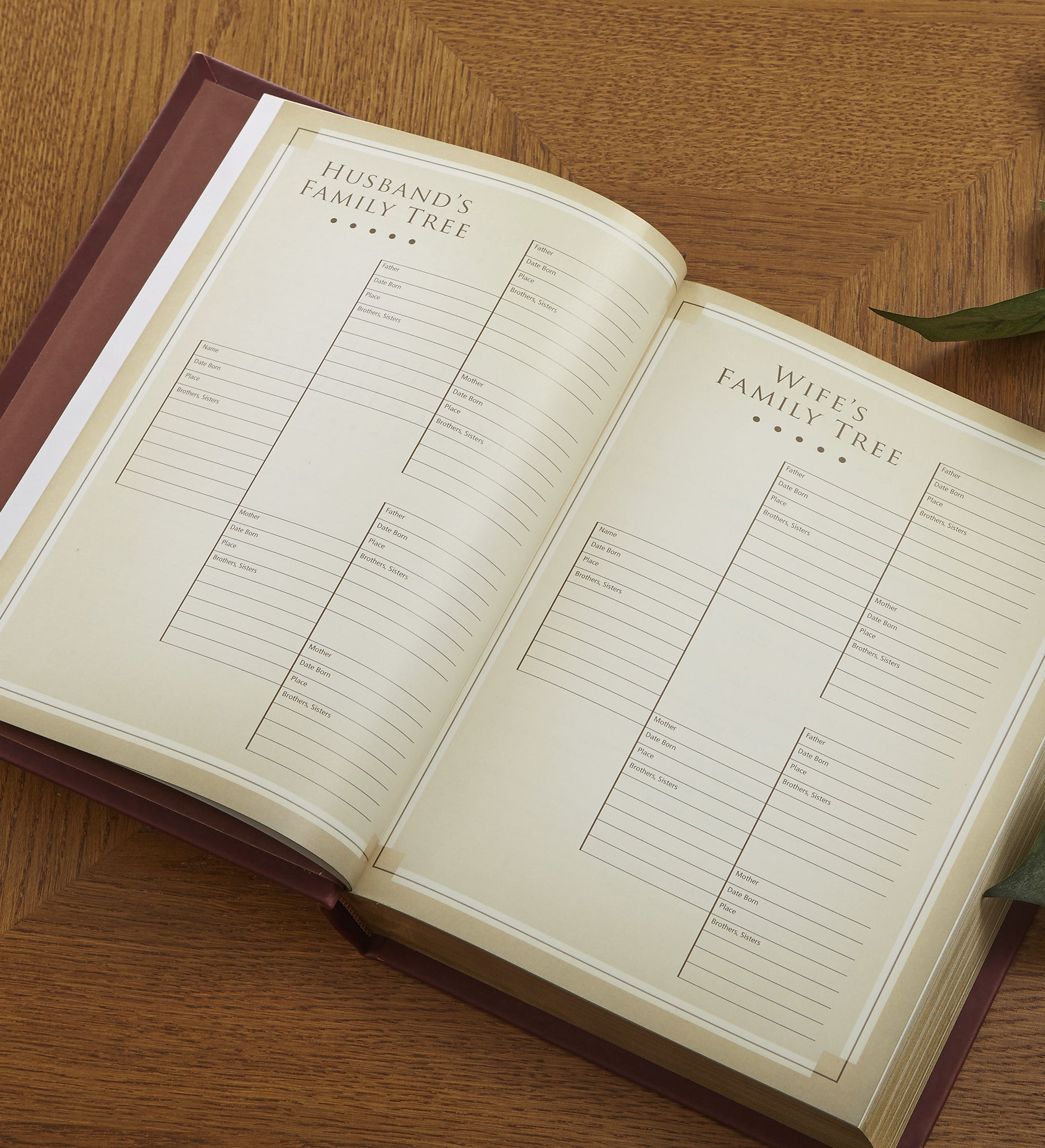 Family Legacy Personalized Bible