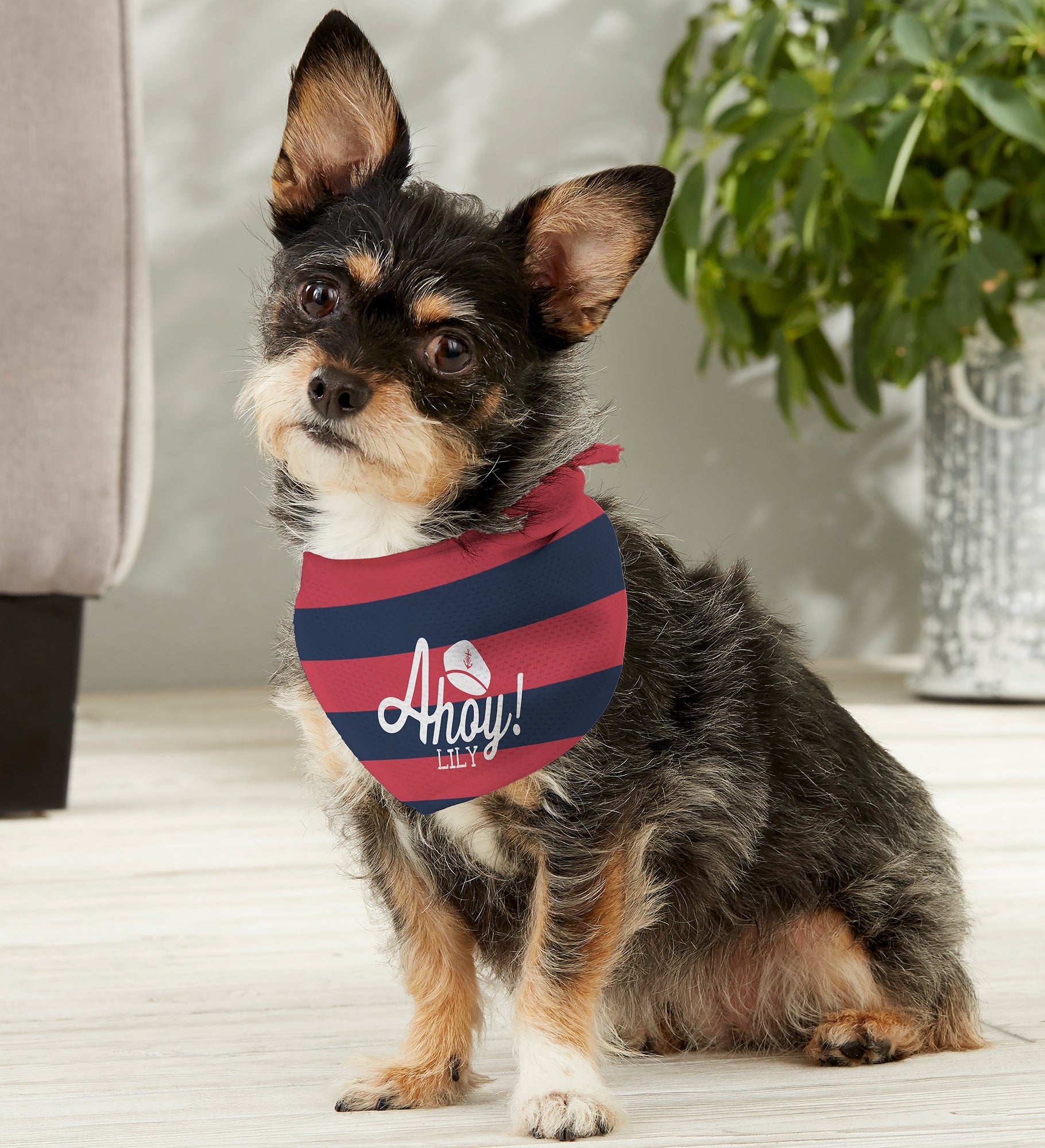 Nautical Personalized Dog Bandana