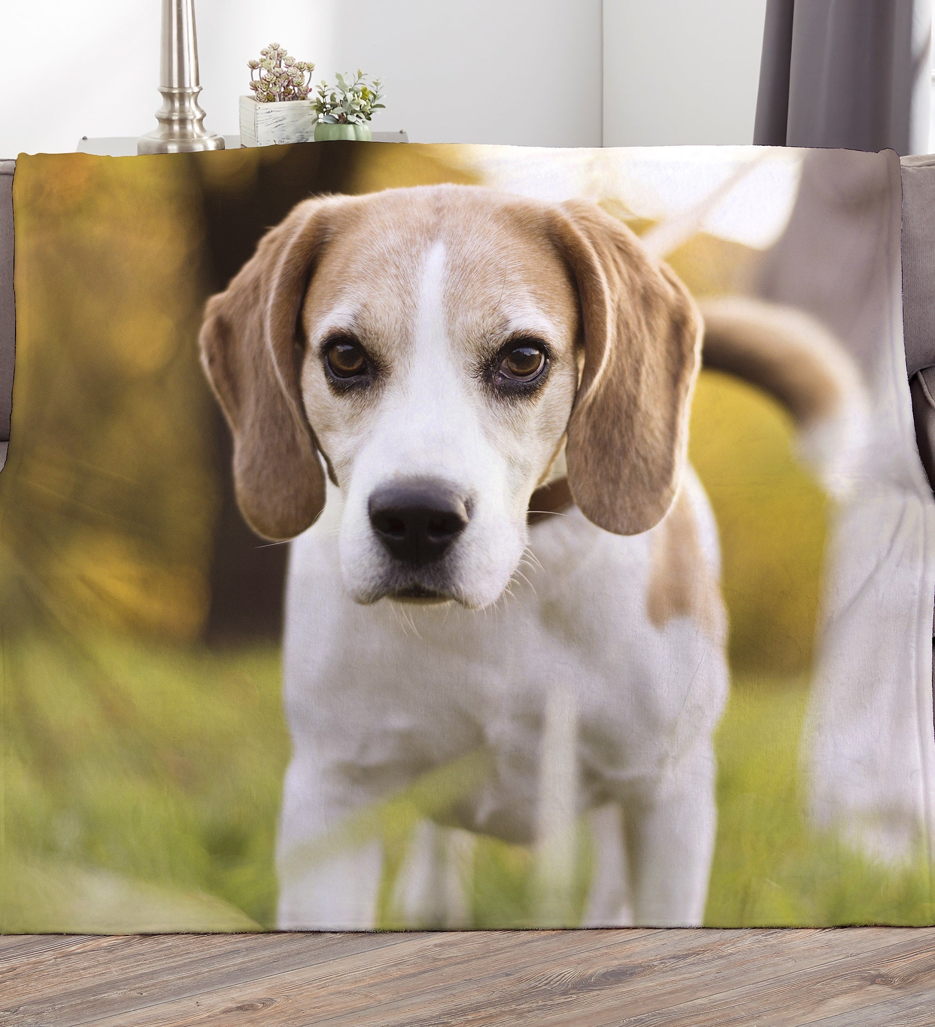 Picture It! Pet Photo Personalized Blankets