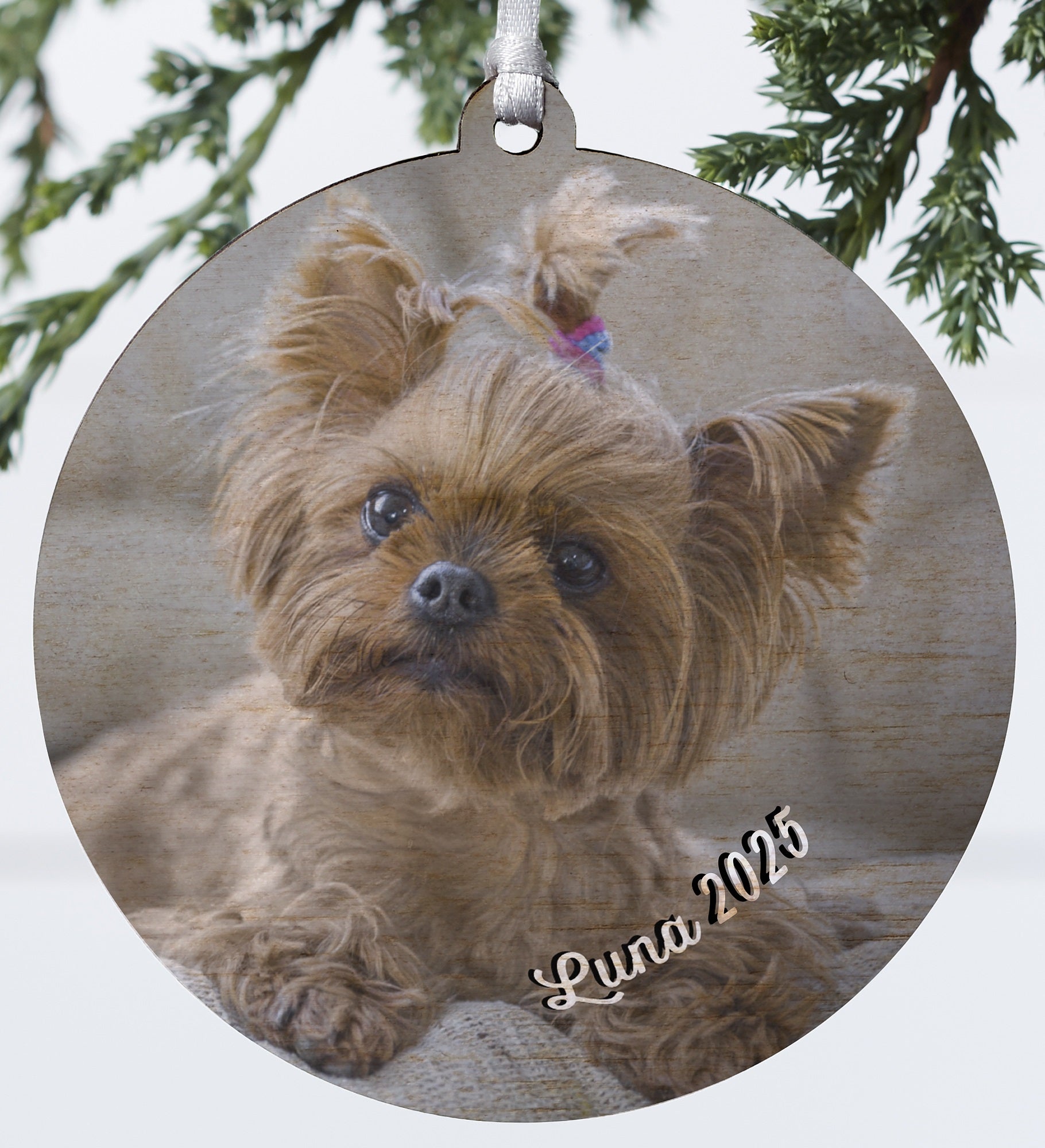Pet Photo Memories Personalized Ornament