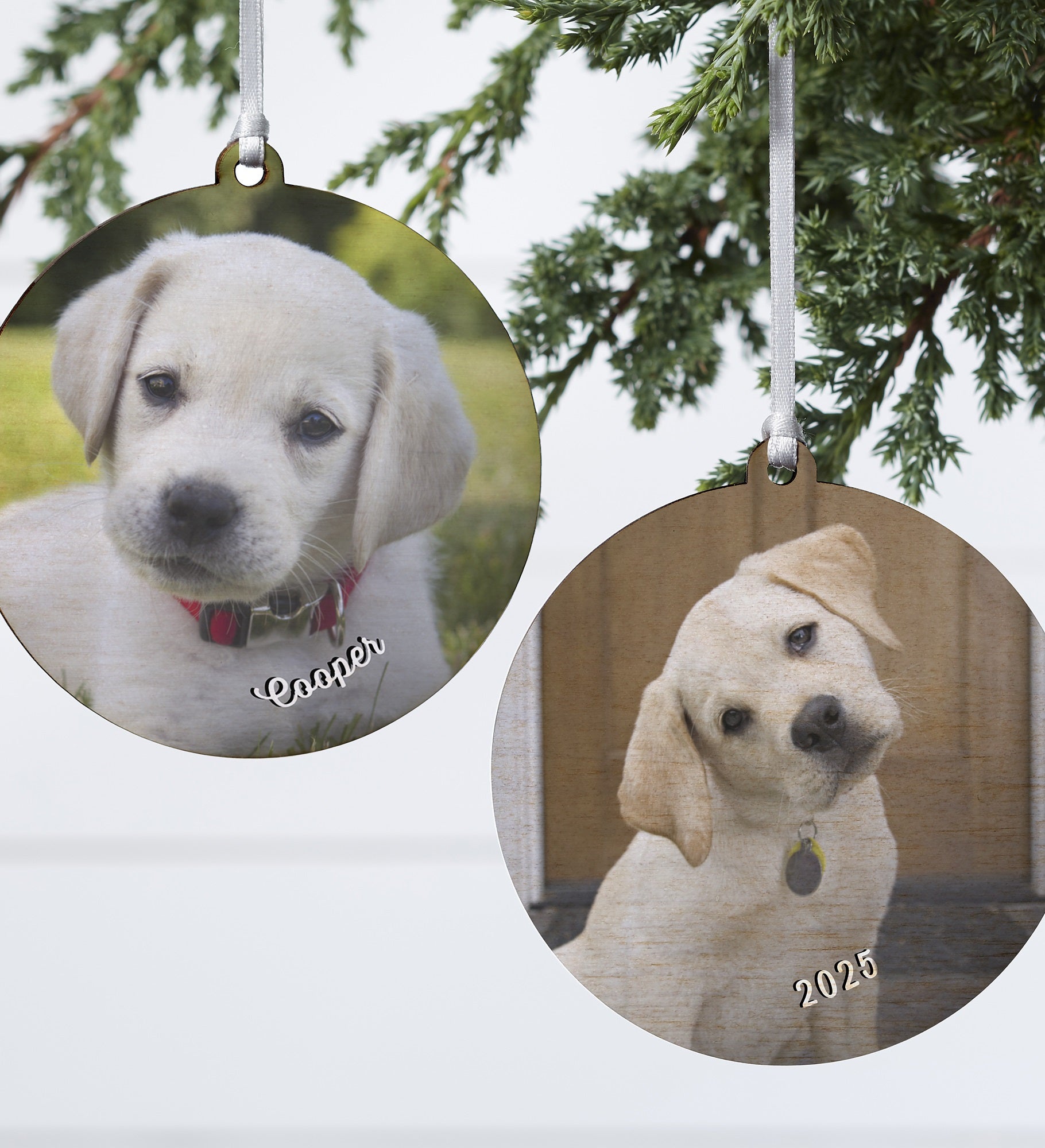 Pet Photo Memories Personalized Ornament