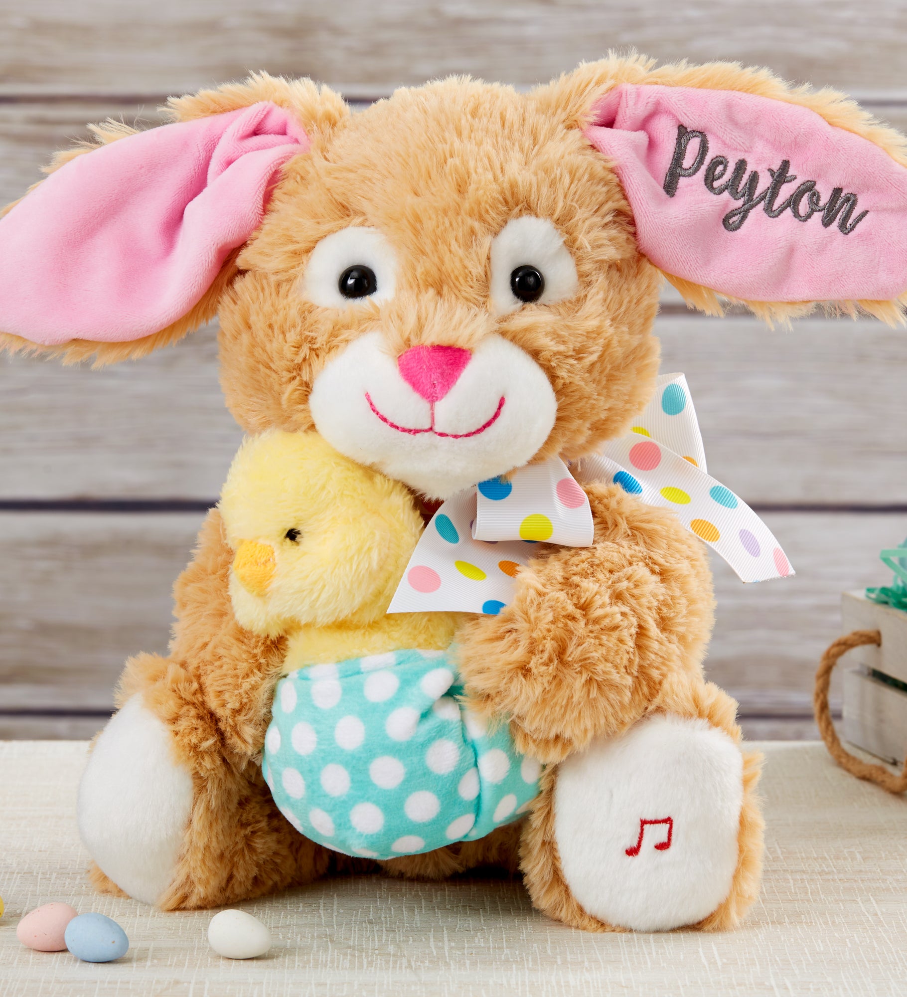 Hip & Hop Embroidered Musical Plush Bunny