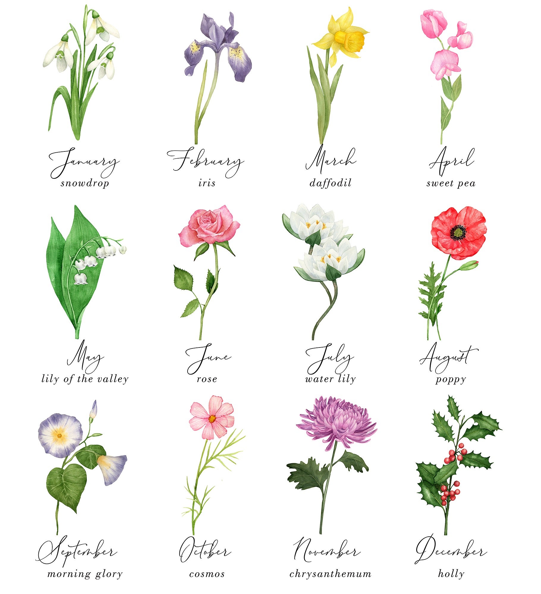 Birth Month Flower Personalized Magnetic Garden Sign
