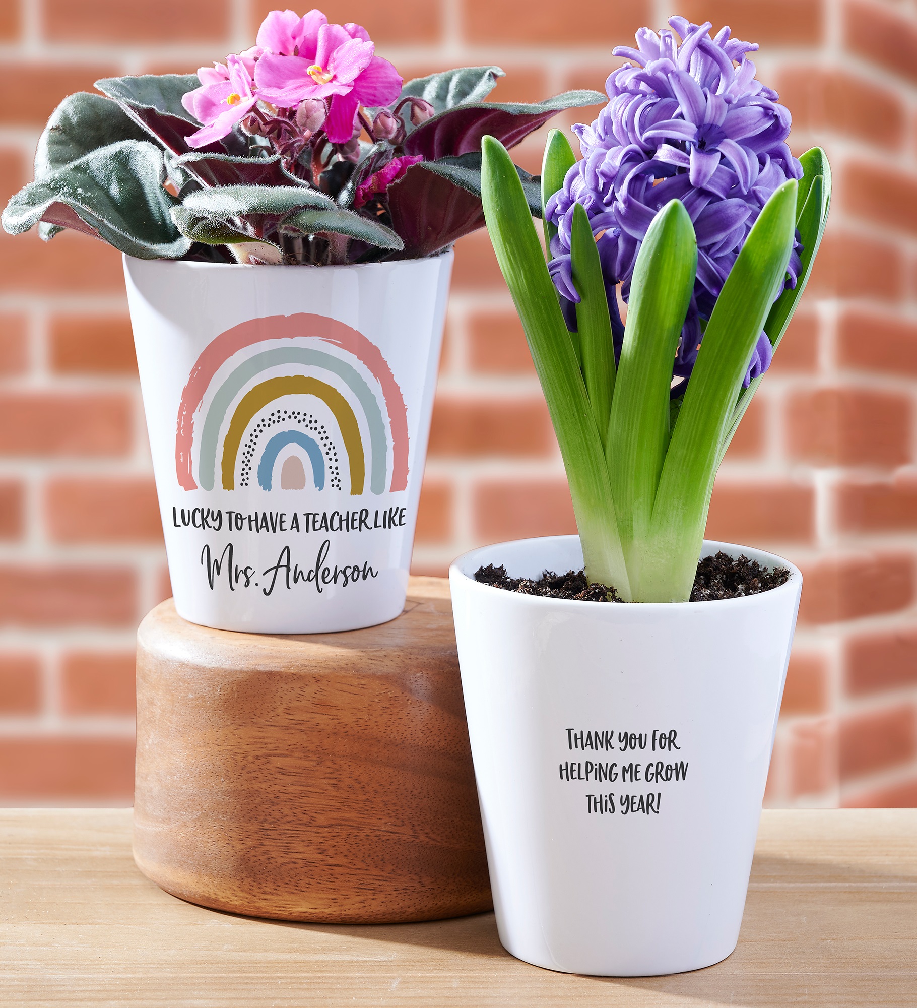 Boho Rainbow Teacher Personalized Mini Flower Pot