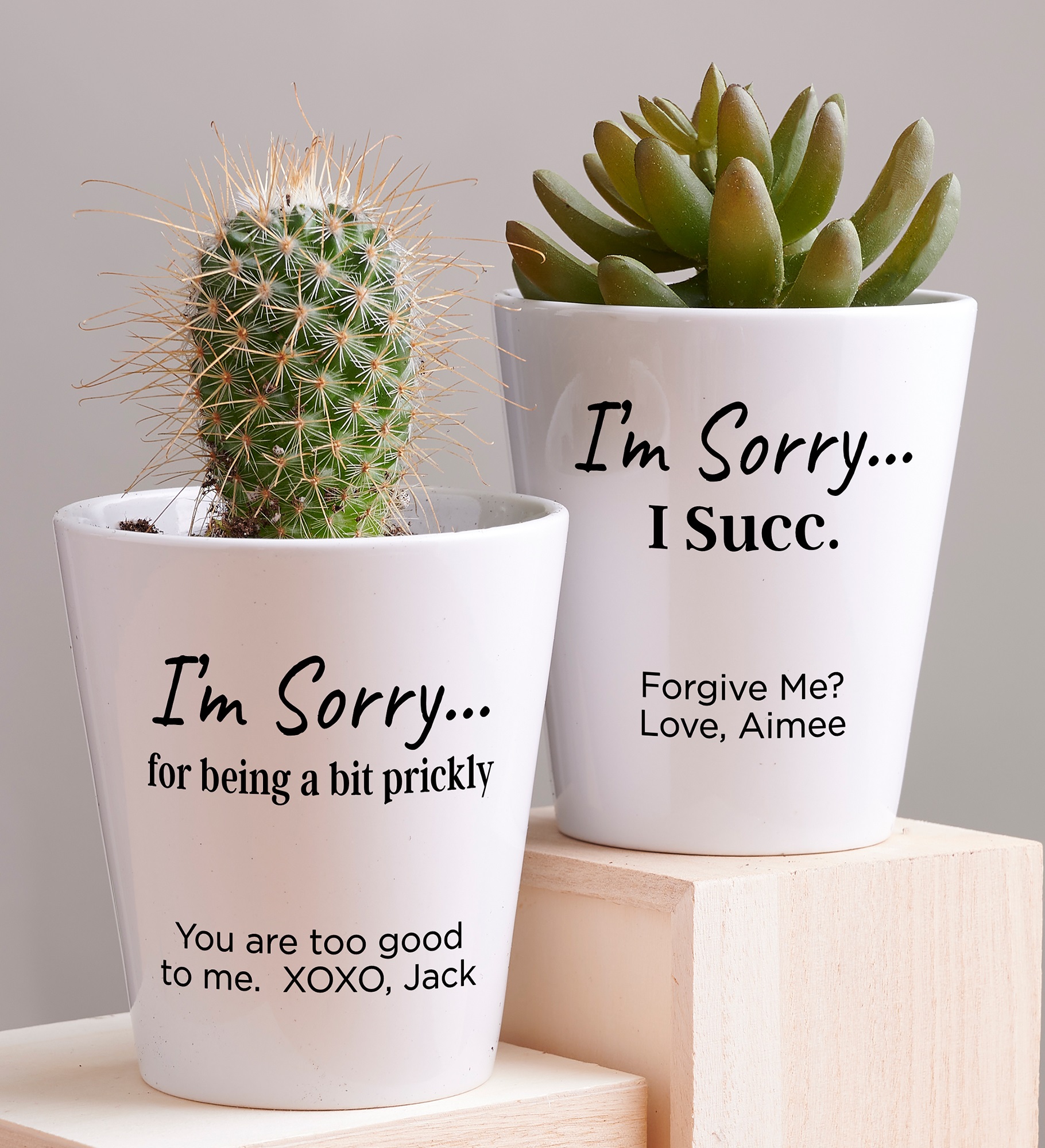 I'm Sorry… Personalized Mini Flower Pot