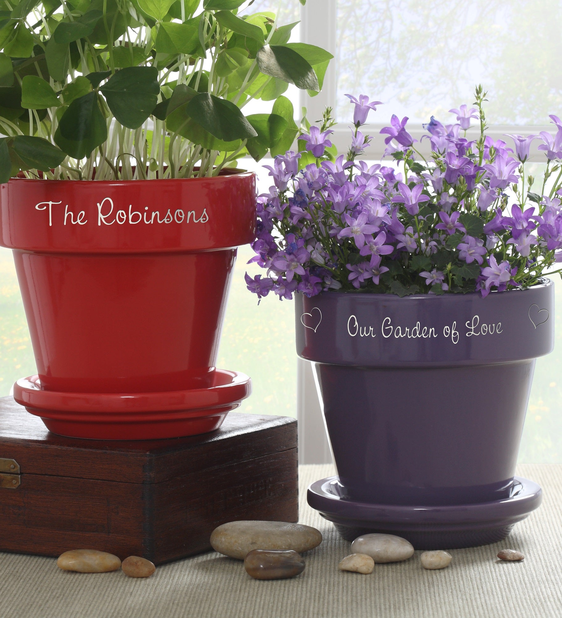 Our Family Blooms Personalized Flower Pot