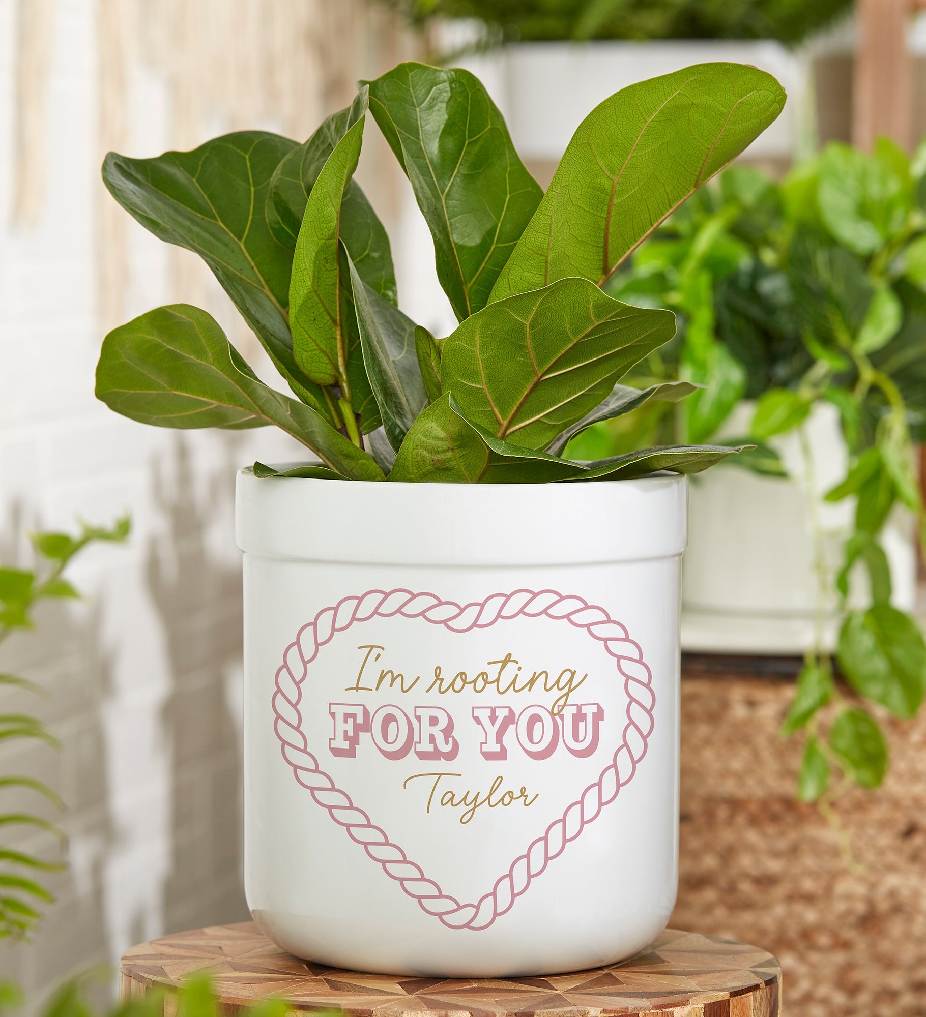 Kittenish Personalized I'm Rooting For You Flower Pot