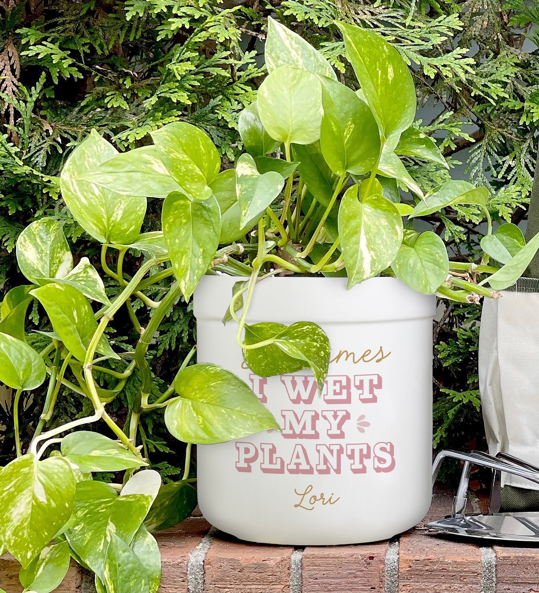 Kittenish Personalized Sometimes I Wet My Plants Flower Pot
